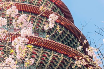 誰說連假要出國 2019 年228 連假旅遊全台景點及加油信用卡推薦 Money101 Com Tw